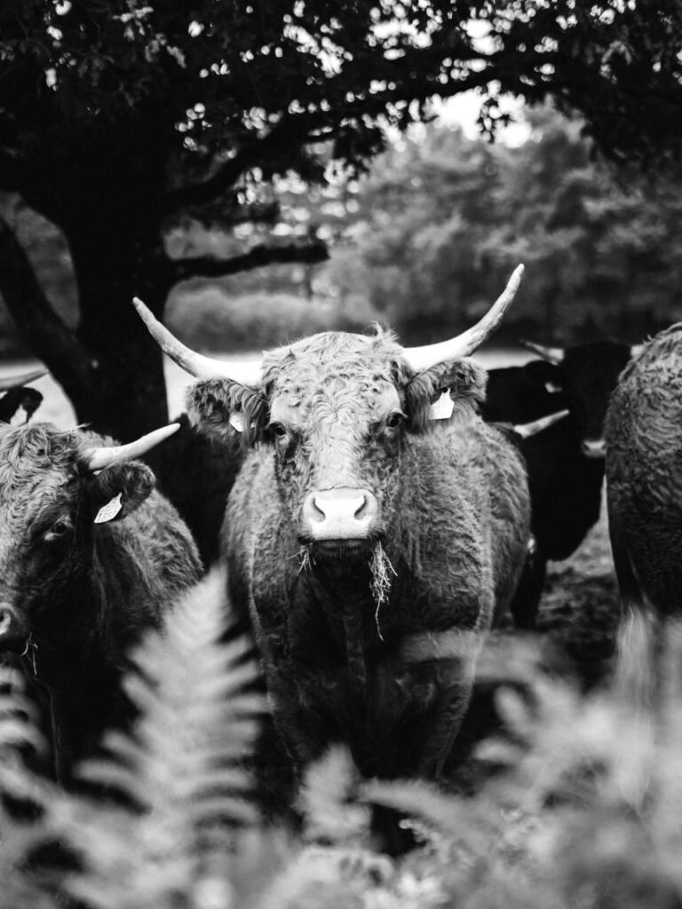 whatsapp image 2025 11 24 at 19.54.16 (4)