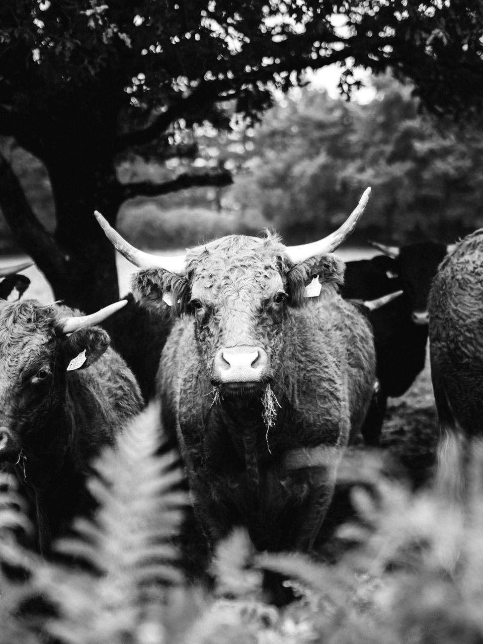 whatsapp image 2025 11 24 at 19.54.16 (4)