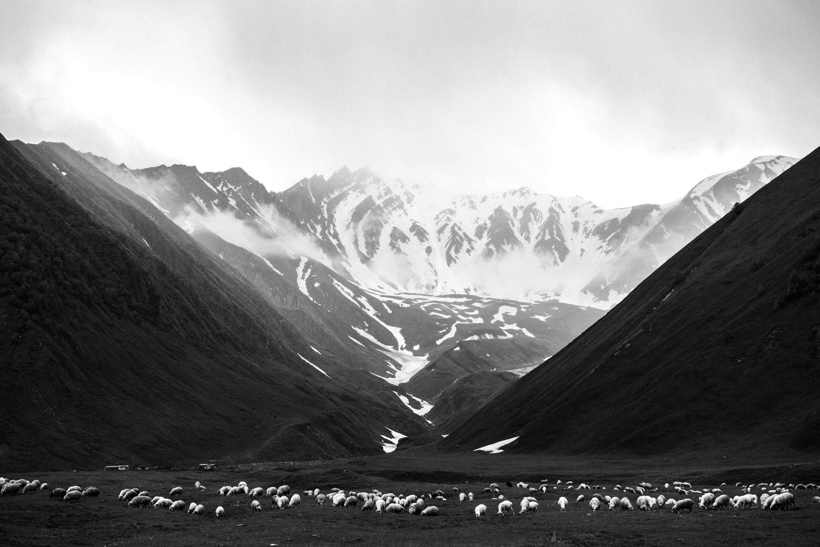 whatsapp image 2025 11 24 at 19.54.17 (2)