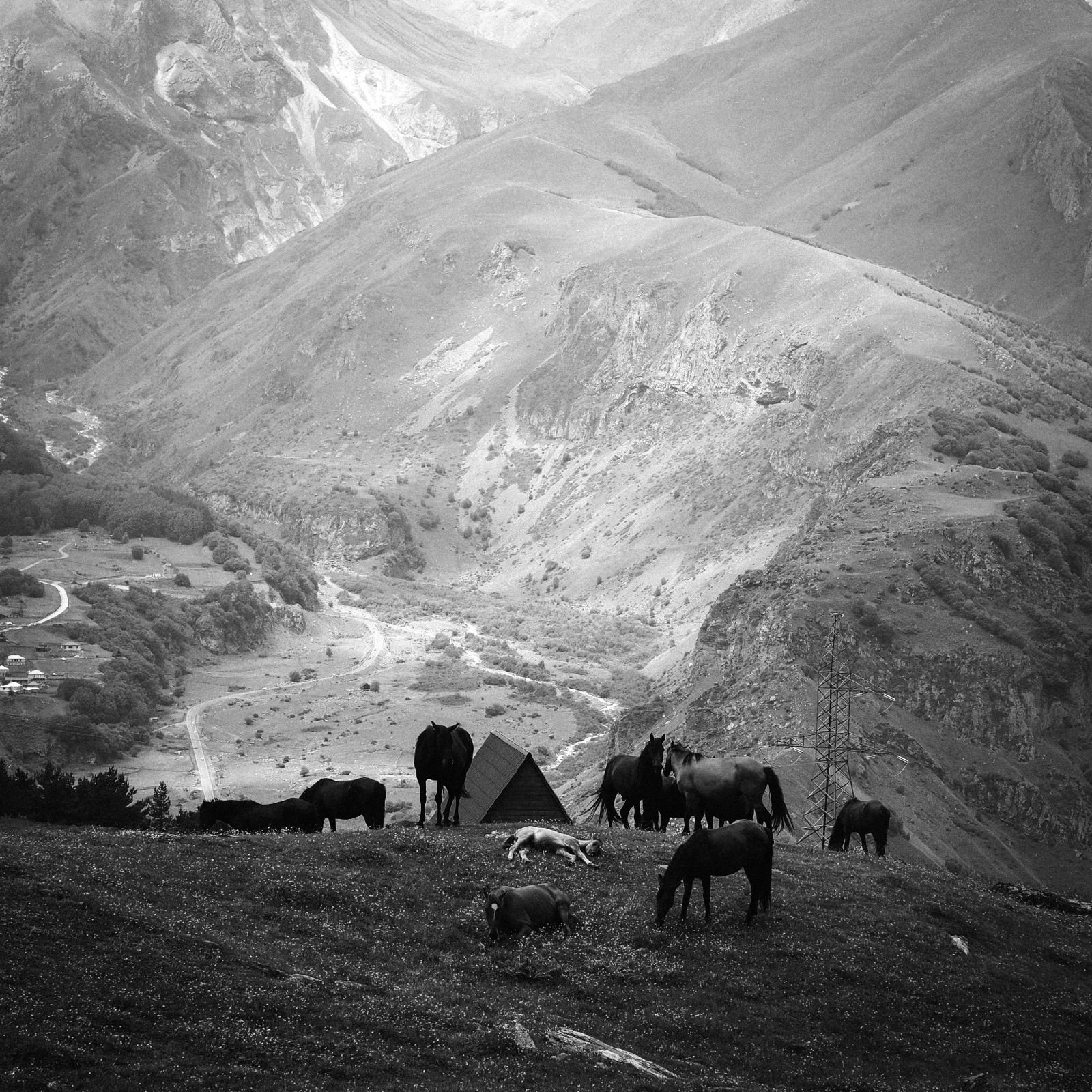 whatsapp image 2025 11 24 at 19.54.18 (1)