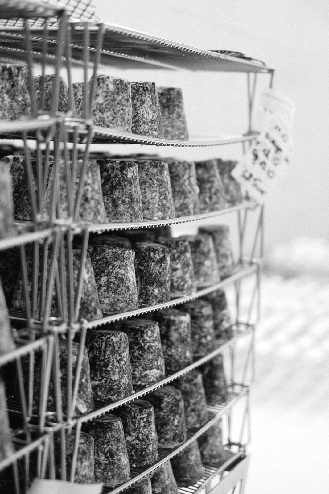 whatsapp image 2025 11 24 at 19.54.18